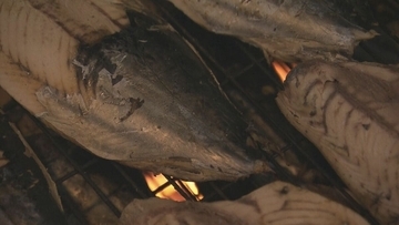漁師町伝統の保存食「カツオの生節」づくりが最盛期 三重・紀北町