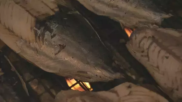 漁師町伝統の保存食「カツオの生節」づくりが最盛期 三重・紀北町