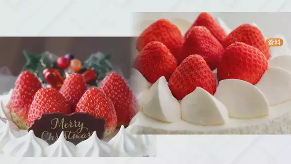 「猛暑の影響でイチゴが大きく育ちすぎ…クリスマスケーキにちょうどいいサイズが少なく「ことしのケーキ屋さんは大変困るのでは？」」の画像