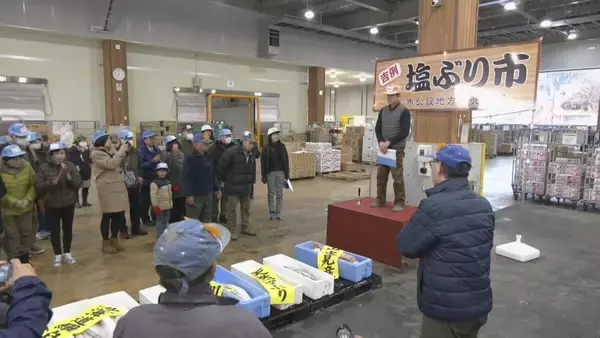 1本25万円超も 年末恒例の｢塩ぶり市｣ 寒ぶりを塩漬けにした飛騨地方の年越し･正月に欠かせないごちそう 不漁の影響は？ 岐阜･高山市
