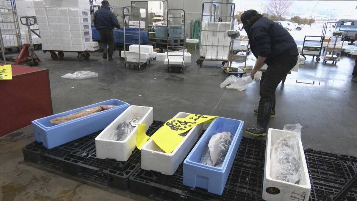 1本25万円超も 年末恒例の｢塩ぶり市｣ 寒ぶりを塩漬けにした飛騨地方の年越し･正月に欠かせないごちそう 不漁の影響は？ 岐阜･高山市