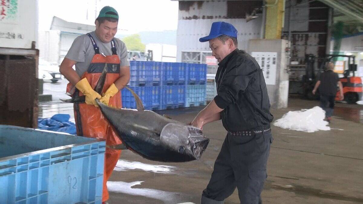 冬に夏の魚が… “なじみのない魚”をおいしく調理する三重の飲食店 近年続く伊勢エビ･アワビなど三重を代表する魚に訪れる不漁の危機