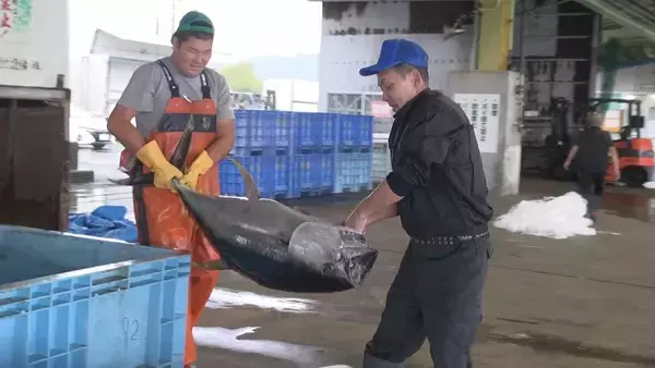 「冬に夏の魚が… “なじみのない魚”をおいしく調理する三重の飲食店 近年続く伊勢エビ･アワビなど三重を代表する魚に訪れる不漁の危機」の画像
