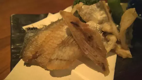 「冬に夏の魚が… “なじみのない魚”をおいしく調理する三重の飲食店 近年続く伊勢エビ･アワビなど三重を代表する魚に訪れる不漁の危機」の画像