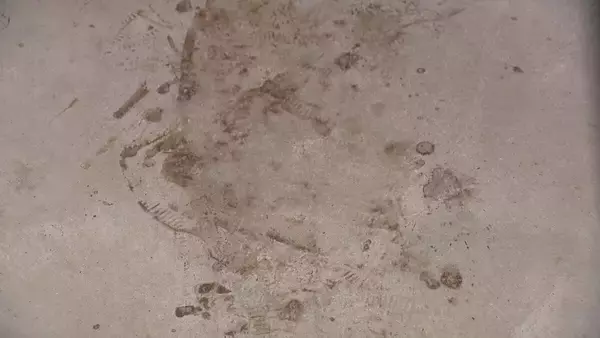 「安福久美子被告は“乳酸菌飲料”を持って現場アパートに… 被害者の夫に対しては｢名前を口にしたり聞いたりしたくない｣と供述 名古屋主婦殺害事件」の画像