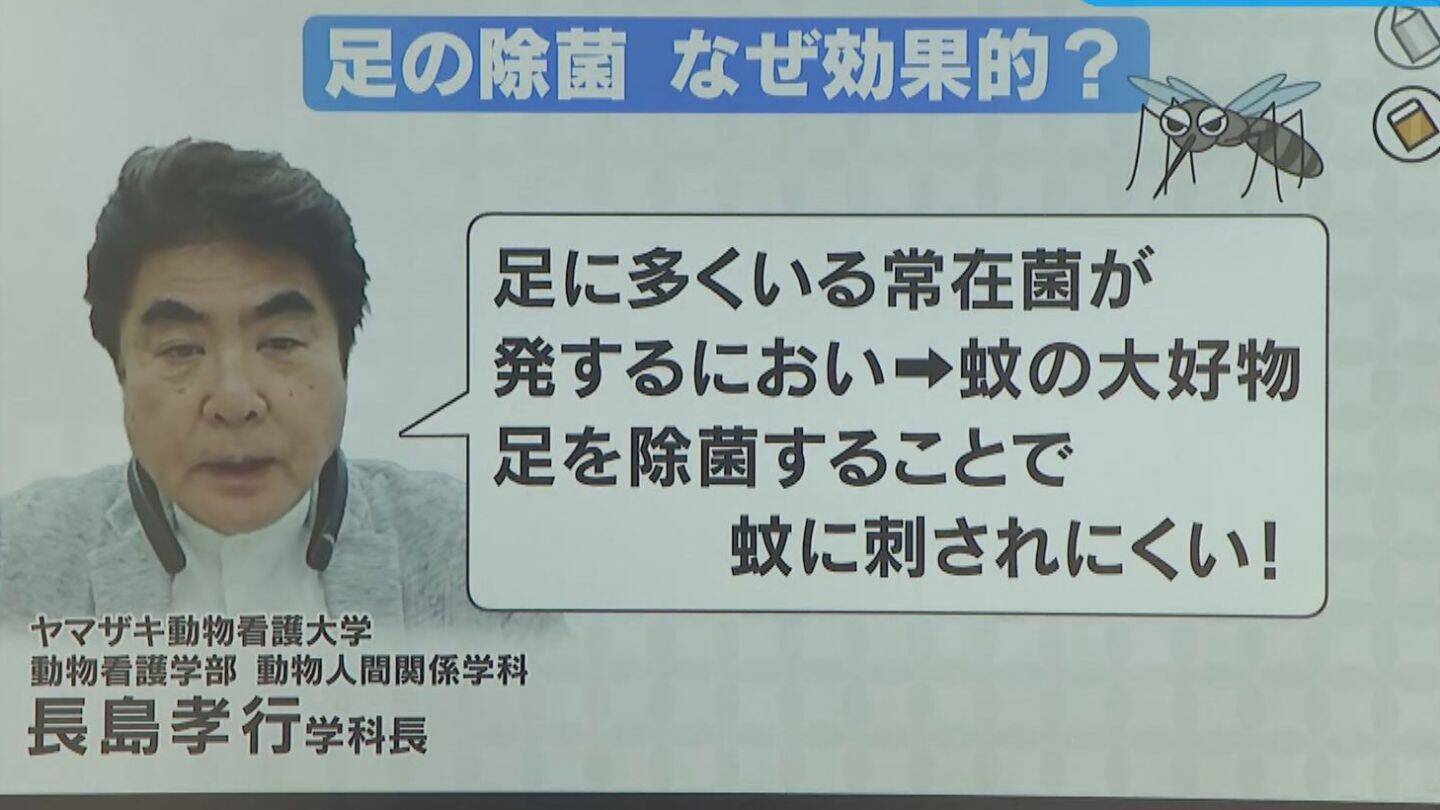 蚊の対策には「除菌シート」が効果的？ 足に多い“常在菌”のニオイを消して寄せつけない (2024年7月28日) - エキサイトニュース