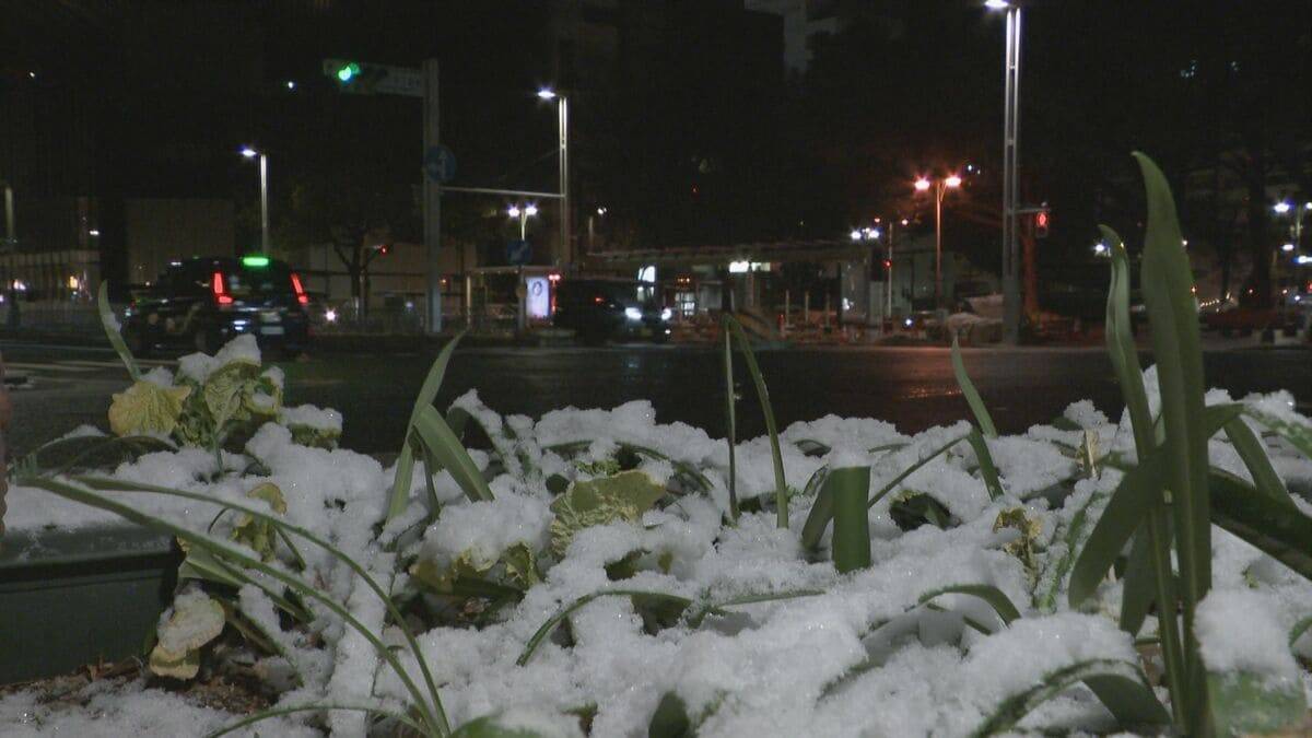 【大雪情報】東海地方は週末も雪予想 岐阜は“大雪”に警戒を 名古屋も雪か 24時間予想降雪量 愛知の山地で5㎝ 平地で3㎝ 岐阜の山地で60㎝ 平地で20㎝ 最新の雪シミュレーション 気象庁