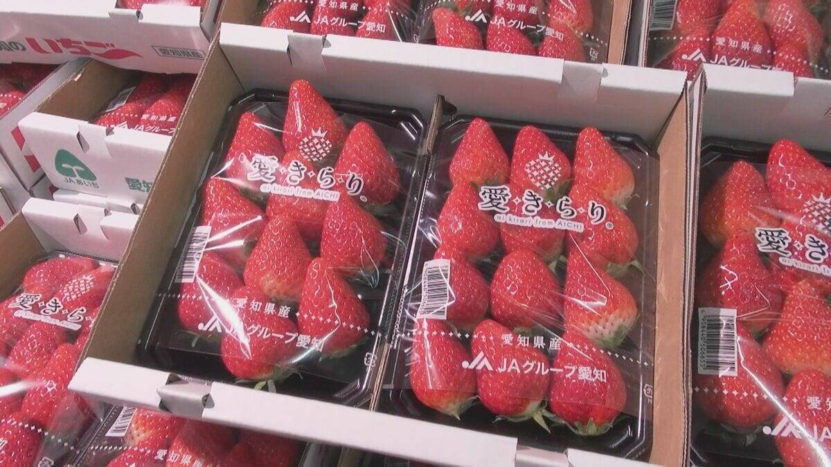 開店前には約500人の行列 “食品強化型ドンキ” ロビン・フッドの全国1号店が愛知に｢暮らしを守り、ニーズをズバッと射抜きたい｣ あま市