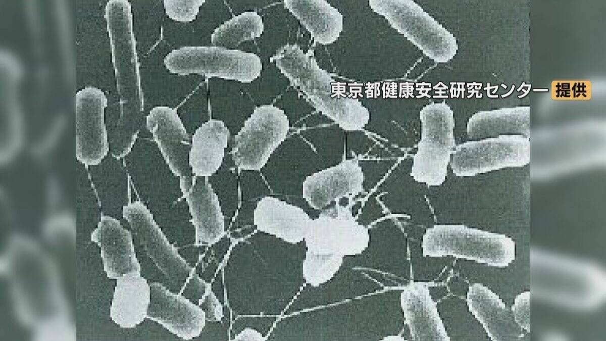 名古屋のコストコで食中毒 死に至る恐れもある｢О157｣検出 原因は人気商品｢ハイローラー｣ 900パック以上販売