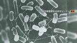 「名古屋のコストコで食中毒 死に至る恐れもある｢О157｣検出 原因は人気商品｢ハイローラー｣ 900パック以上販売」の画像2
