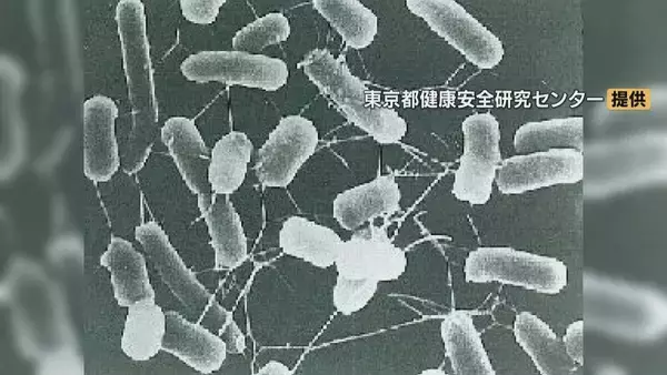 「名古屋のコストコで食中毒 死に至る恐れもある｢О157｣検出 原因は人気商品｢ハイローラー｣ 900パック以上販売」の画像