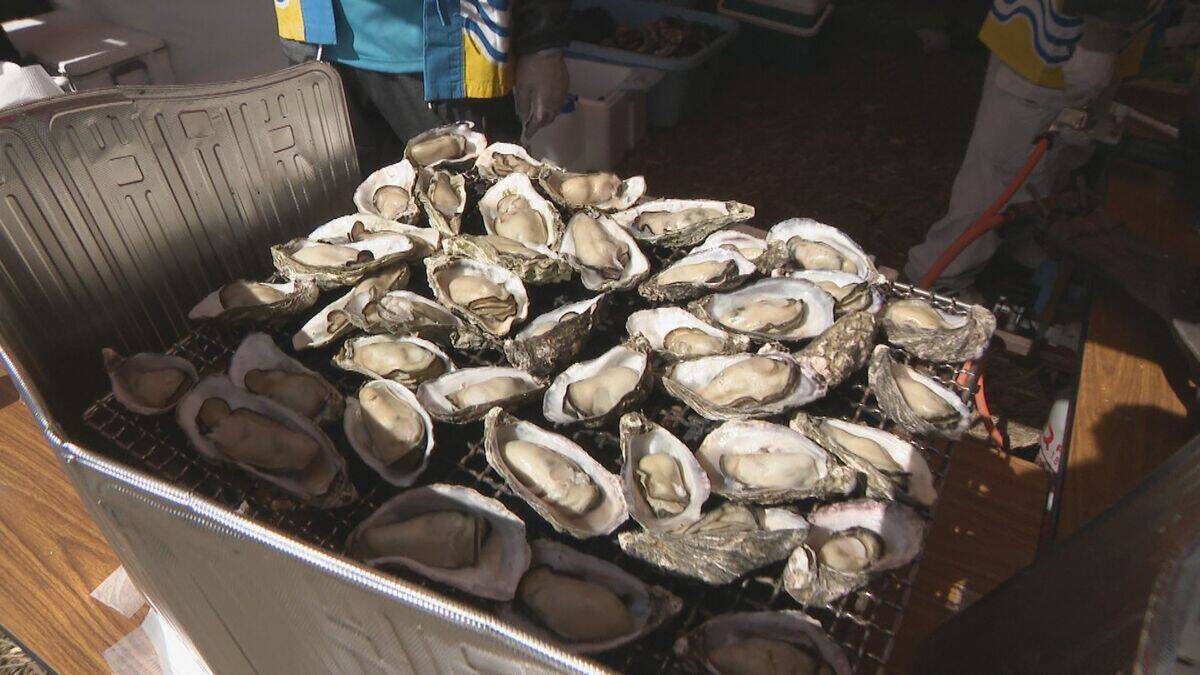 愛知で大粒･濃厚なカキが楽しめる!? “養殖カキ”の販売スタート 背景にはアサリの深刻な不漁｢年収は6分の1に｣