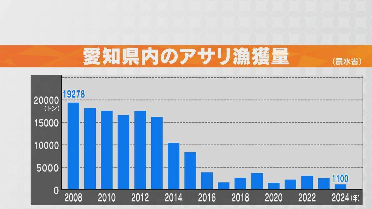 愛知で大粒･濃厚なカキが楽しめる!? “養殖カキ”の販売スタート 背景にはアサリの深刻な不漁｢年収は6分の1に｣