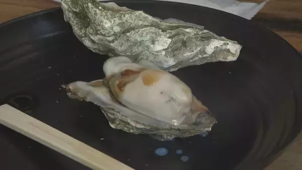 「愛知で大粒･濃厚なカキが楽しめる!? “養殖カキ”の販売スタート 背景にはアサリの深刻な不漁｢年収は6分の1に｣」の画像