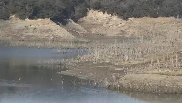 「貯水量“平年の半分”三重用水で節水強化…農業用水で10%節水率引き上げ」の画像