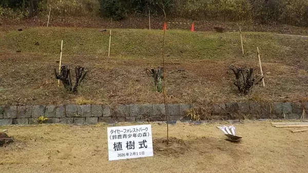 「｢桜の木｣6本が何者かに切断される 今年2月に植樹されたばかり… 170センチ 直径2センチほど 前日の見回りでは異常確認されず 三重･鈴鹿市」の画像