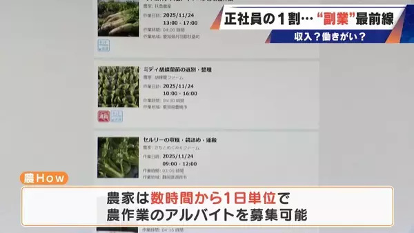 「正社員の1割が“副業”する時代…高校の先生が“すきま時間”にビール作り｢理科の知識は役立っている｣ 会社員が農業も…魅力は収入？働き甲斐？」の画像