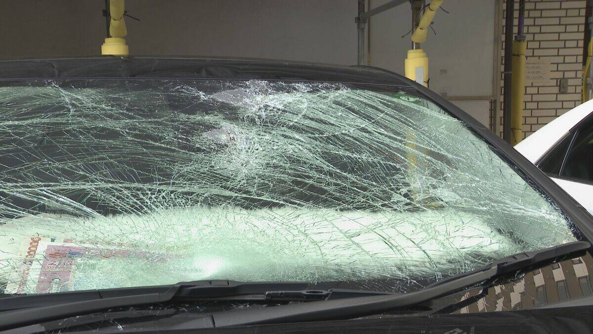 飲酒運転で信号無視 横断歩道渡っていた男性をひき逃げか 男（20）逮捕 名古屋・千種区