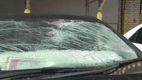 「飲酒運転で信号無視 横断歩道渡っていた男性をひき逃げか 男（20）逮捕 名古屋・千種区」の画像