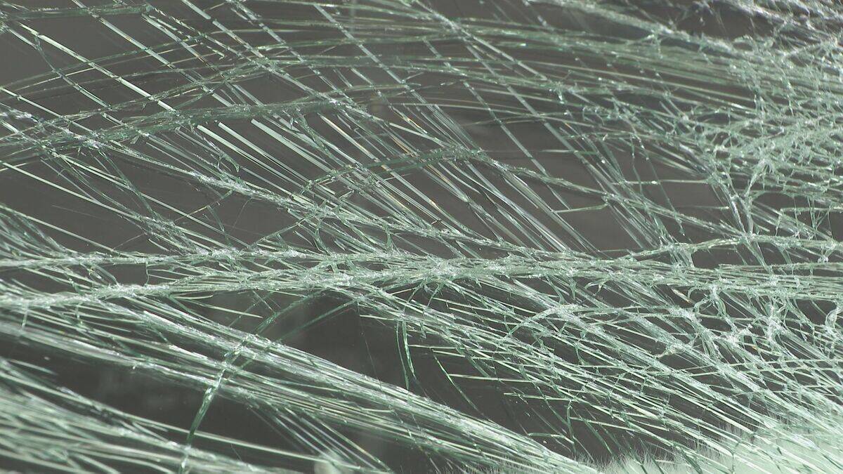 飲酒運転で信号無視 横断歩道渡っていた男性をひき逃げか 男（20）逮捕 名古屋・千種区