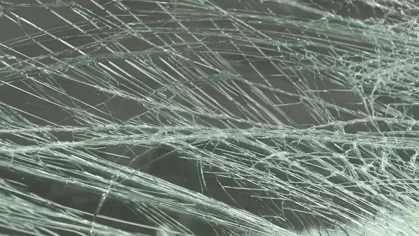 「飲酒運転で信号無視 横断歩道渡っていた男性をひき逃げか 男（20）逮捕 名古屋・千種区」の画像