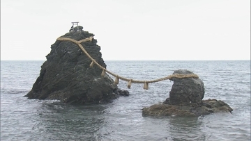 「夫婦岩」沖合 海中のご神体の岩から神職がアマモを刈り取る「藻刈神事」 三重・伊勢市の二見興玉神社