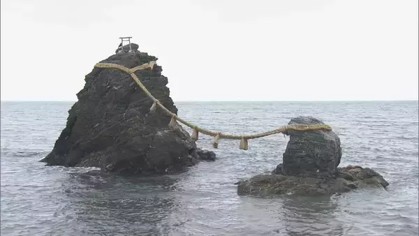 「夫婦岩」の沖合で海中のご神体の岩から神職がアマモを刈り取る「藻刈神事」 三重・伊勢市の二見興玉神社
