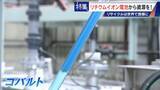 「社会にあふれるリチウムイオン電池から｢レアメタル｣をリサイクル 資源に乏しい日本の課題」の画像11