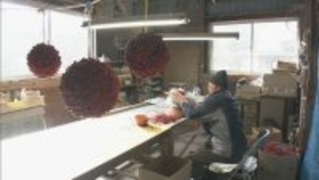 “難を転ずる”「南天玉」作りが最盛期　岐阜・郡上市