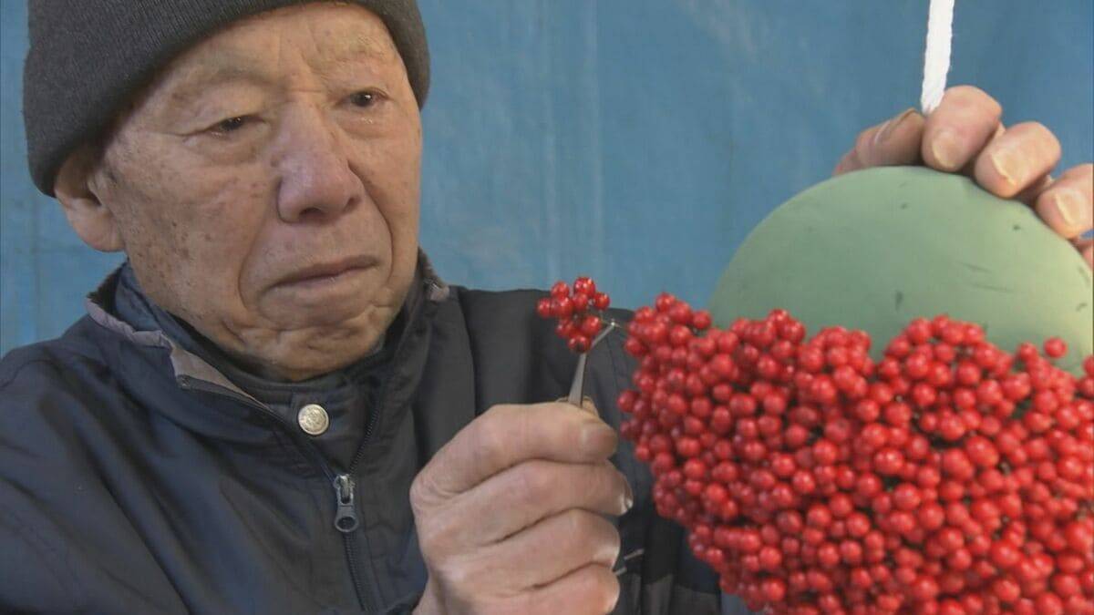 “難を転ずる”「南天玉」作りが最盛期　岐阜・郡上市
