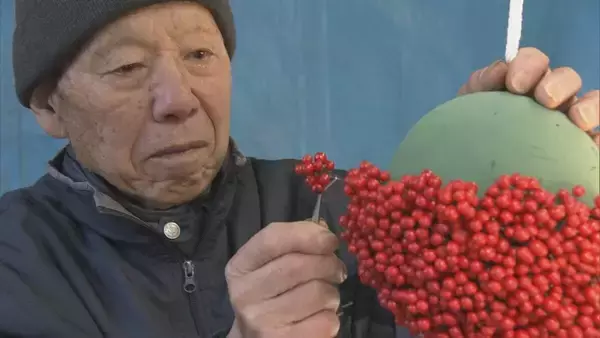 「“難を転ずる”「南天玉」作りが最盛期　岐阜・郡上市」の画像