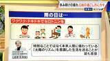 「GW明けの“疲れ”どう防ぐ？半分以上が“疲労感･心理的負担増”の調査も…ポイントは｢幸せホルモンの分泌｣ 専門家に聞く」の画像6