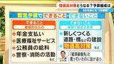 「もし通常国会が“冒頭解散”したら｢物価高対策｣はどうなる？予算編成は？36年前にも“1月解散”が…【大石邦彦解説】　」の画像4