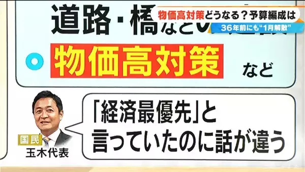 「もし通常国会が“冒頭解散”したら｢物価高対策｣はどうなる？予算編成は？36年前にも“1月解散”が…【大石邦彦解説】　」の画像