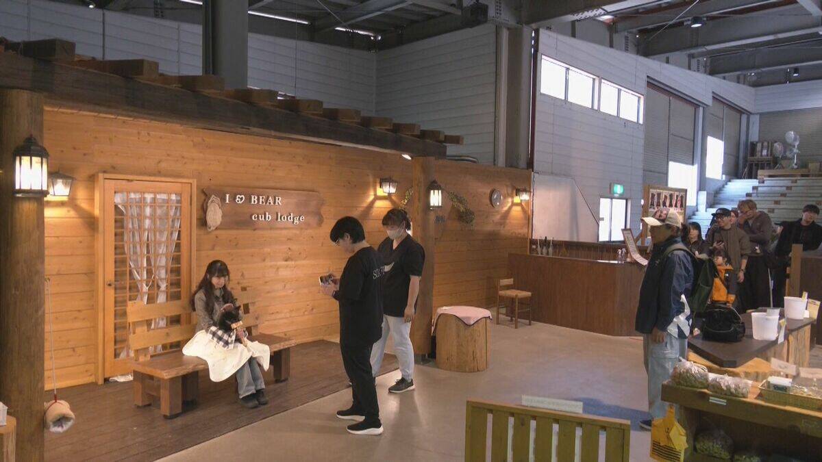 クマの赤ちゃんと記念撮影 ツキノワグマ11頭誕生した奥飛騨クマ牧場 1日3回のミルクで3キロほどに 岐阜･高山市