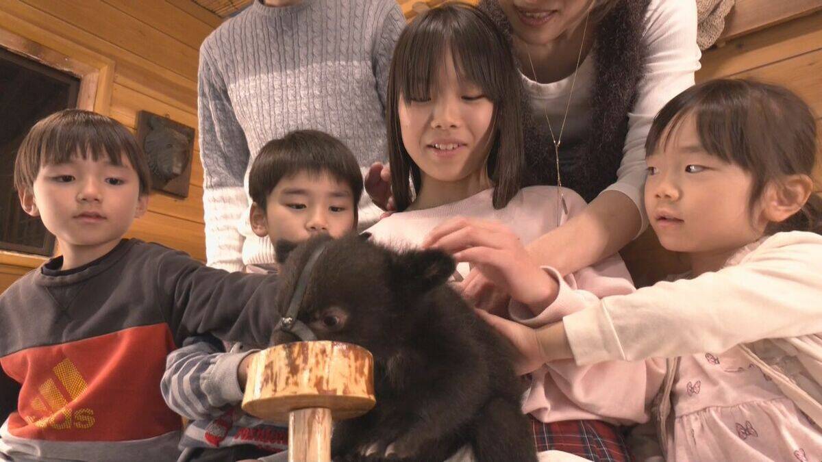 クマの赤ちゃんと記念撮影 ツキノワグマ11頭誕生した奥飛騨クマ牧場 1日3回のミルクで3キロほどに 岐阜･高山市
