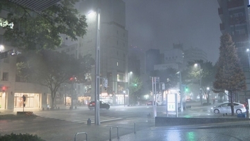 名古屋などで局地的雷雨 守山区では倒木も 休日の帰宅の足を直撃