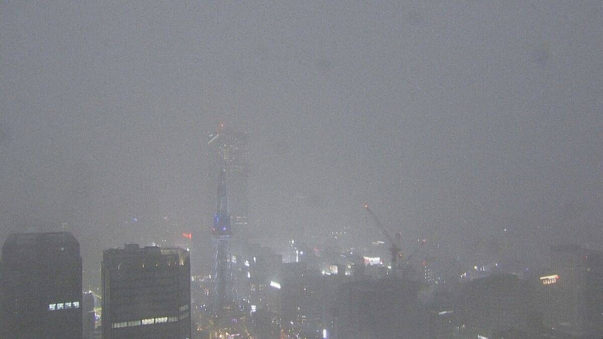 名古屋などで局地的雷雨 守山区では倒木も 休日の帰宅の足を直撃