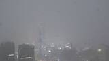 「名古屋などで局地的雷雨 守山区では倒木も 休日の帰宅の足を直撃」の画像2