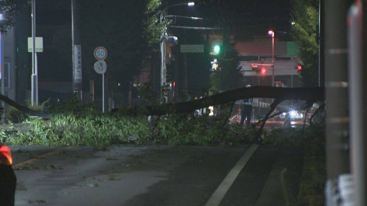 名古屋などで局地的雷雨 守山区では倒木も 休日の帰宅の足を直撃