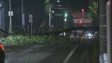 「名古屋などで局地的雷雨 守山区では倒木も 休日の帰宅の足を直撃」の画像3