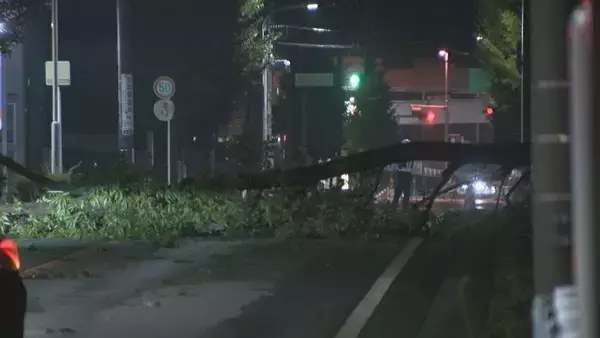 「名古屋などで局地的雷雨 守山区では倒木も 休日の帰宅の足を直撃」の画像