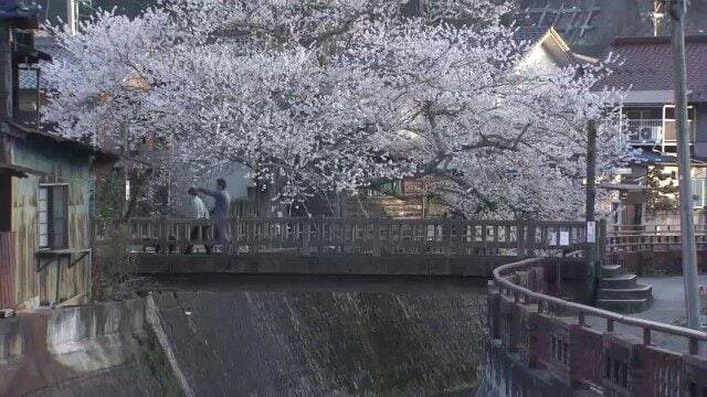 一体誰が？観光地にある“謎の橋” 岐阜県内だけで700か所以上…取材でわかった意外な事実 他県では洪水につながったケースも