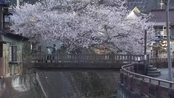 「一体誰が？観光地にある“謎の橋” 岐阜県内だけで700か所以上…取材でわかった意外な事実 他県では洪水につながったケースも」の画像