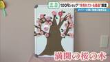 「SNSで話題 ｢収納ボックス｣や｢お菓子ブーケ｣ 100円ショップで“今売れている商品”を調査！」の画像24