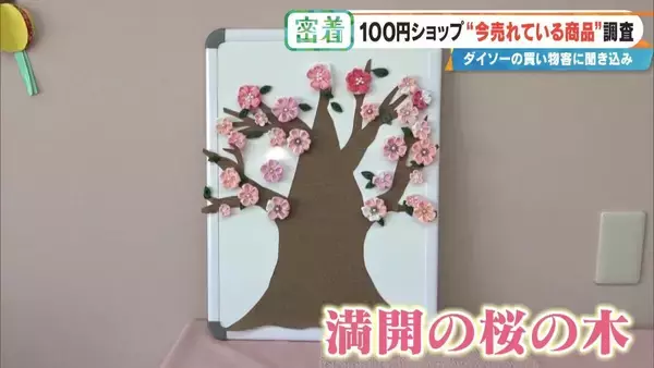 「SNSで話題 ｢収納ボックス｣や｢お菓子ブーケ｣ 100円ショップで“今売れている商品”を調査！」の画像