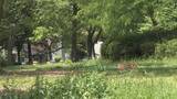 「列車にぶつかったとみられる｢ニホンカモシカ｣ うずくまる様子も… 公園で捕獲 名古屋市内で目撃情報相次ぐ」の画像3