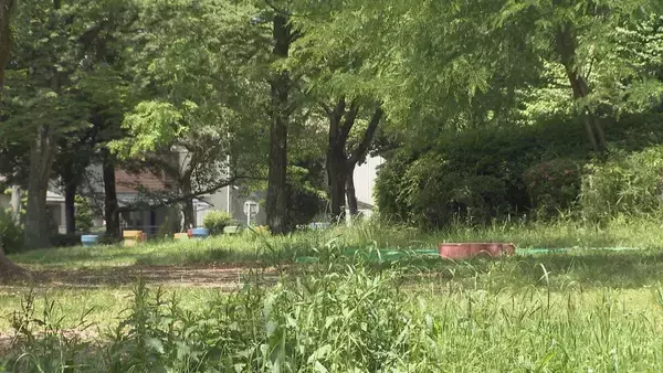 「列車にぶつかったとみられる｢ニホンカモシカ｣ うずくまる様子も… 公園で捕獲 名古屋市内で目撃情報相次ぐ」の画像