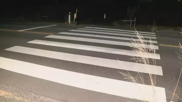 「男性(83)を重傷ひき逃げ疑いで逮捕… 軽乗用車で横断歩道を渡っていた女性(44)をはねる  ｢人には絶対にぶつかっていません」と容疑否認 愛知・日進市」の画像