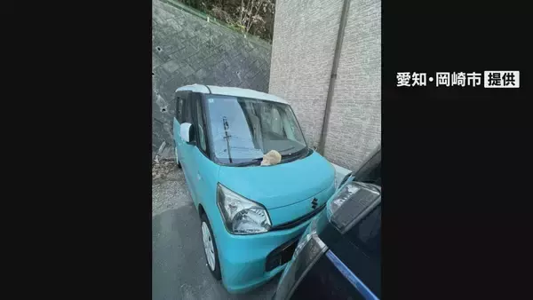 岡崎・花園緑地からの落石で軽乗用車２台損傷　住宅敷地に駐車中、長さ20センチ以上の石が落下　天井がへこむなど被害